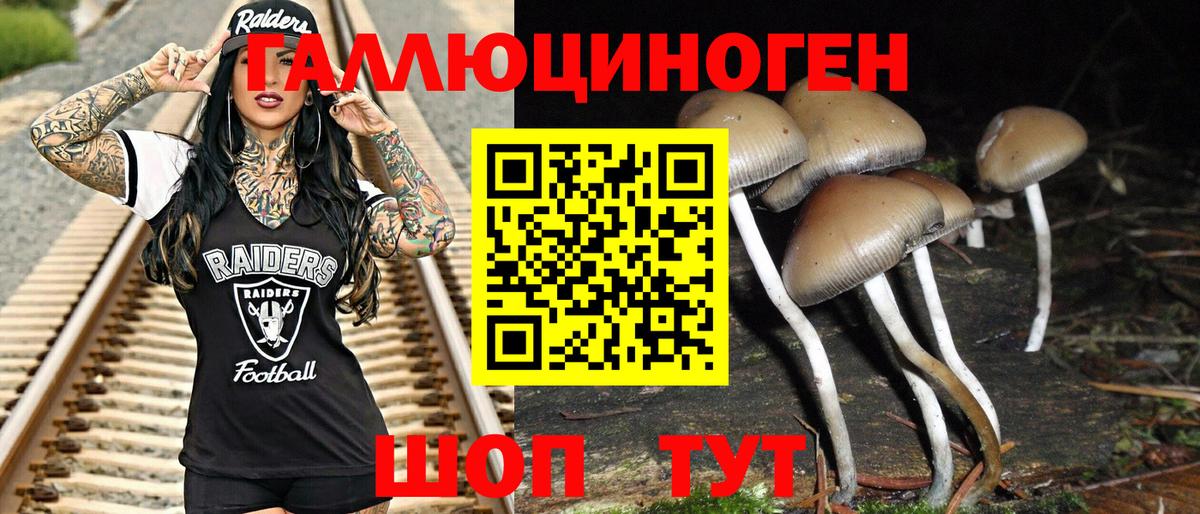 Галлюциногенные грибы GOLDEN TEACHER Мытищи