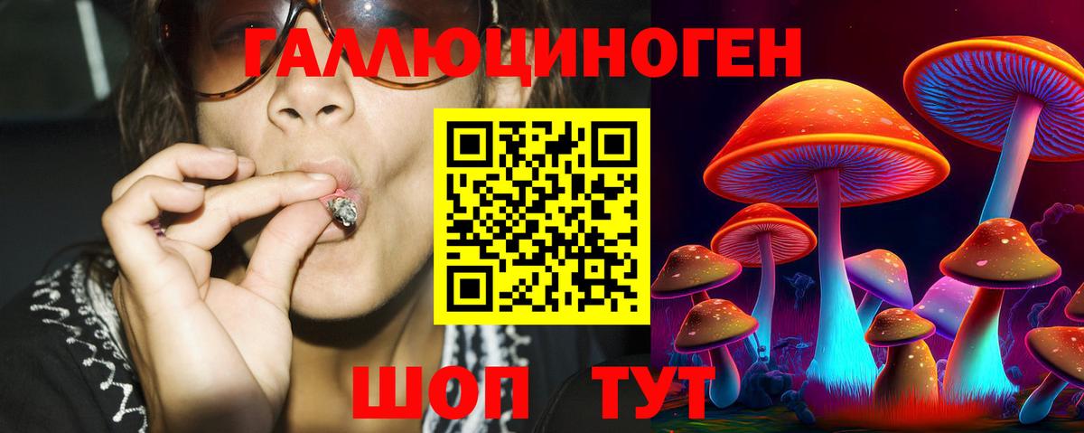 Мытищи  Псилоцибиновые грибы Psilocybe  Вход с VPN  Псилоцибиновые грибы Psilocybe 